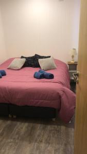 Легло или легла в стая в Los Amancay del Otto