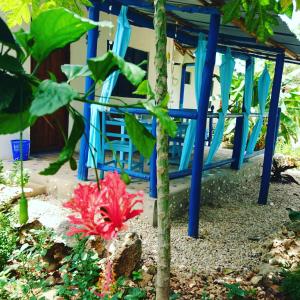 a garden with blue chairs and a tree at Furaha B&B Kendwa in Kendwa