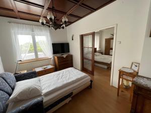 1 dormitorio con 1 cama, TV y espejo en Apartmaji Iva, en Bled