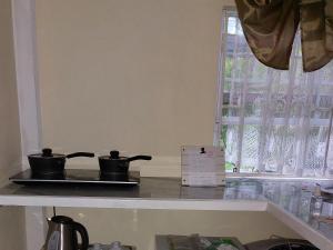 Cucina o angolo cottura di 4Js Vacation Inc. - Luxury Studio