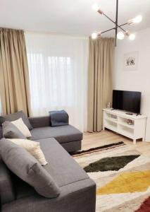 - un salon avec un canapé et une télévision dans l'établissement 1 bedroom apartment, à Iaşi