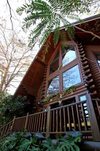 a log cabin with a porch and a large window at Sun Moon Lake Full House Resort in Yuchi