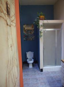 een badkamer met een toilet en een blauwe muur bij Artist Housing - Downtown in Los Angeles