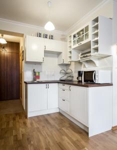 Kuchyňa alebo kuchynka v ubytovaní Apartament w Góralskim Domu