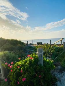 een uitzicht op de oceaan vanuit een tuin met bloemen bij On the beach-Lucky Bay in Cowell