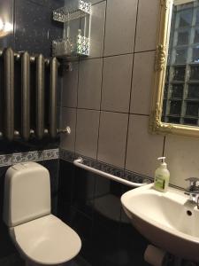 a bathroom with a toilet and a sink and a mirror at Voosemetsa Turismitalu in Voose