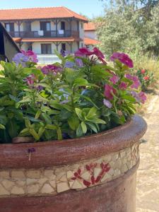 Сад в Casa Pescareasca - Complex Plaja Golf