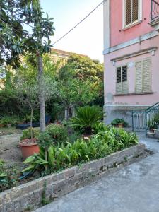een tuin voor een roze gebouw met planten bij GREEN HOUSE in Vasto