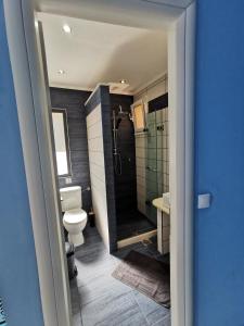 a bathroom with a shower and a toilet and a sink at Pelekas Beach Apartments in Pelekas
