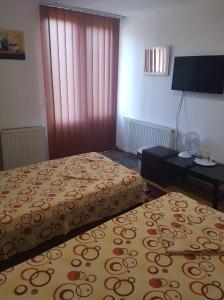 a hotel room with two beds and a desk and a television at Casa Stela in Iaşi