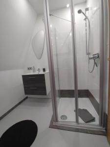 Un baño con ducha con puerta de cristal. en Ferienhaus Eugenie, en Sulzfeld 9 fotos más
