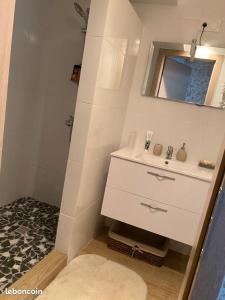 Baño blanco con lavabo y espejo en Appartement Entre Strasbourg Et Colmar - Proche d'Europa Park en Sermersheim