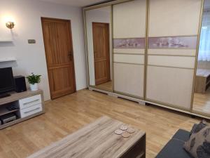 Televízia a/alebo spoločenská miestnosť v ubytovaní Apartament Sówka
