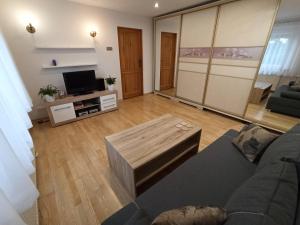 Televízia a/alebo spoločenská miestnosť v ubytovaní Apartament Sówka