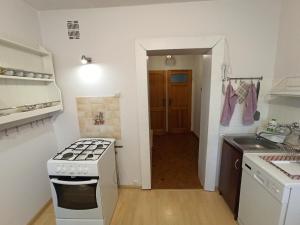 Kuchyňa alebo kuchynka v ubytovaní Apartament Sówka