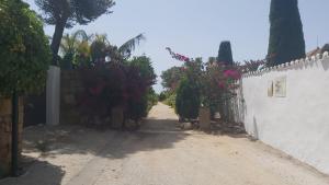 Kép Del Parque Flats Paraiso Beach szállásáról Esteponában a galériában