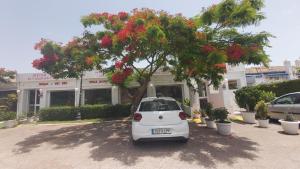 The building in which Az apartmant is located