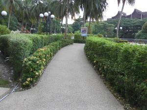 Una pasarela en un parque con arbustos y flores en Batu Ferringhi Seaview Apartment, en Batu Ferringhi