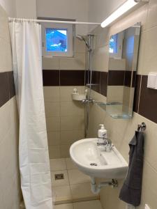 y baño con lavabo y ducha. en Budapest Airport-Vecsés Trainstation Apartman K7, en Vecsés