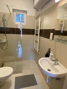 Ένα μπάνιο στο Budapest Airport-Vecsés Trainstation Apartman K7