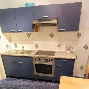 Virtuvė arba virtuvėlė apgyvendinimo įstaigoje Apartma FRIDA