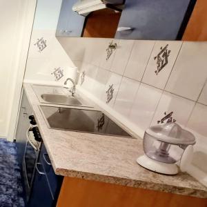 Vonios kambarys apgyvendinimo įstaigoje Apartma FRIDA