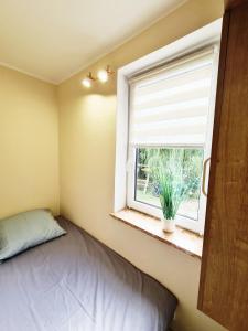 sypialnia z łóżkiem i oknem z rośliną w obiekcie Apartamencik Nad Jeziorem Dzwon Marcinkowo 51 - 2 w mieście Mrągowo