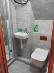 a bathroom with a toilet and a sink and a shower at Uroczy apartament in Krakow