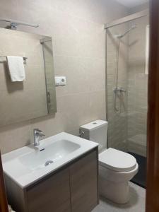 a bathroom with a toilet and a sink and a shower at Allotjament rural Casa Milagros in Barruera