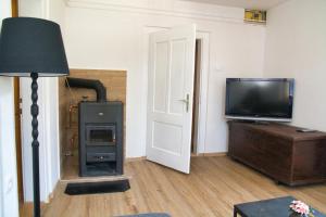 a living room with a wood stove and a tv at Apartma Vila Kočna in Zgornje Jezersko