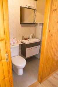 La salle de bains est pourvue de toilettes et d'un lavabo. dans l'établissement Apartma Vila Kočna, à Zgornje Jezersko