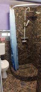 a bathroom with a shower and a toilet at Casa Vio in Eforie Nord