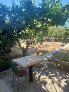 Zdjęcie z galerii obiektu Buena Vida Apartman w mieście Zadar