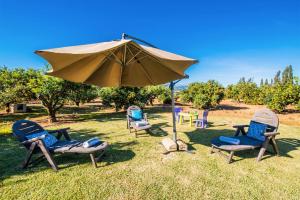 A garden outside Can Rafelino, pool and relax