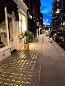 a sidewalk with a potted plant on a city street at Stunning 1 Bedroom in Stunning Location - Mayfair Area in London