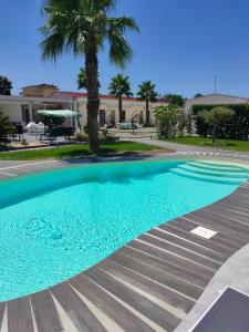 a blue swimming pool with a palm tree in the background at B&B Resort El Bisagrà in Scalea