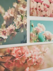 vier foto's van roze bloemen aan de muur bij Casa Blanca in Niestetal