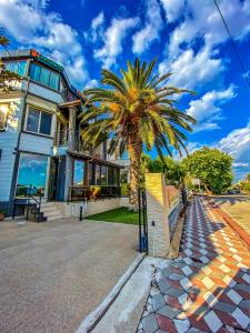 a palm tree in front of a house at MAS PALMİYE OTEL in Edremit