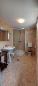 a bathroom with a shower and a sink and a toilet at Apartmani Diva in Malinska +38 photos