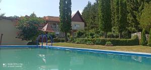 a swimming pool in front of a house at Guest House Vila Aleksa-apartman in Bogutovac