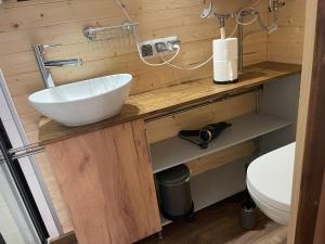 een badkamer met een wastafel en een toilet bij Tiny House Indy-Blue in Giethoorn