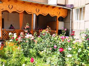 Zahrada ubytování Baktygul guesthouse