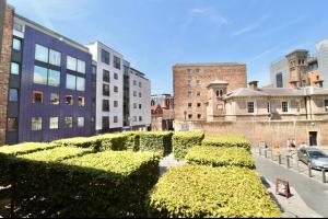 a row of hedges in a city with buildings at Campbell Square Apartment 3 in Liverpool