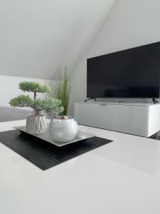 ein Wohnzimmer mit einem TV und einem Tisch mit Pflanzen in der Unterkunft Moderne Wohnung nah am Cappenberger-See, 1-4 Gäste in Lünen
