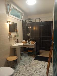 y baño con lavabo y ducha. en La Vicoise Accueillante en Vic-Fezensac