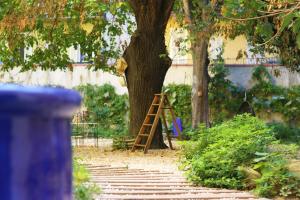 Zahrada ubytování L'Abeille - Boutique Apartments
