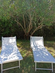 サン・ロッコ A ピッリにあるVilla Poggio al Sole Bio Agriturismo private poolの木の前の芝生に座るベッド2台