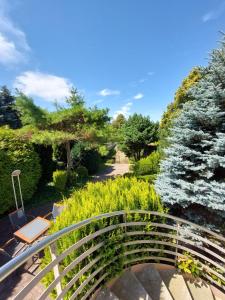 A garden outside Hotel Vltava