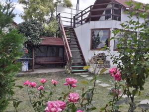 Casa Chitu外面的花园