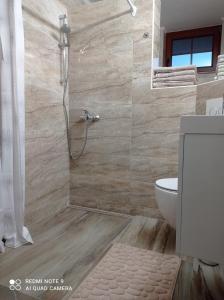Mirna的住宿－Zerko Holiday Home - Vineyard Chalet With Sauna and Jacuzzi FREE，带淋浴和卫生间的浴室